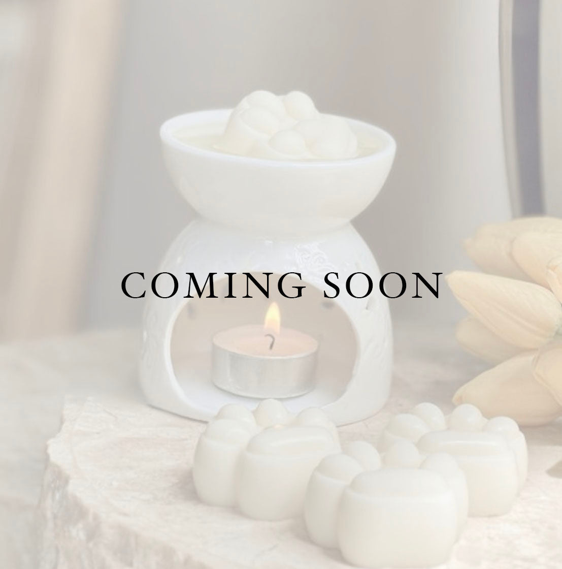 WAX MELTS
